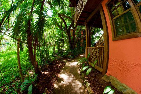 1 Bedroom Apartment Garden View